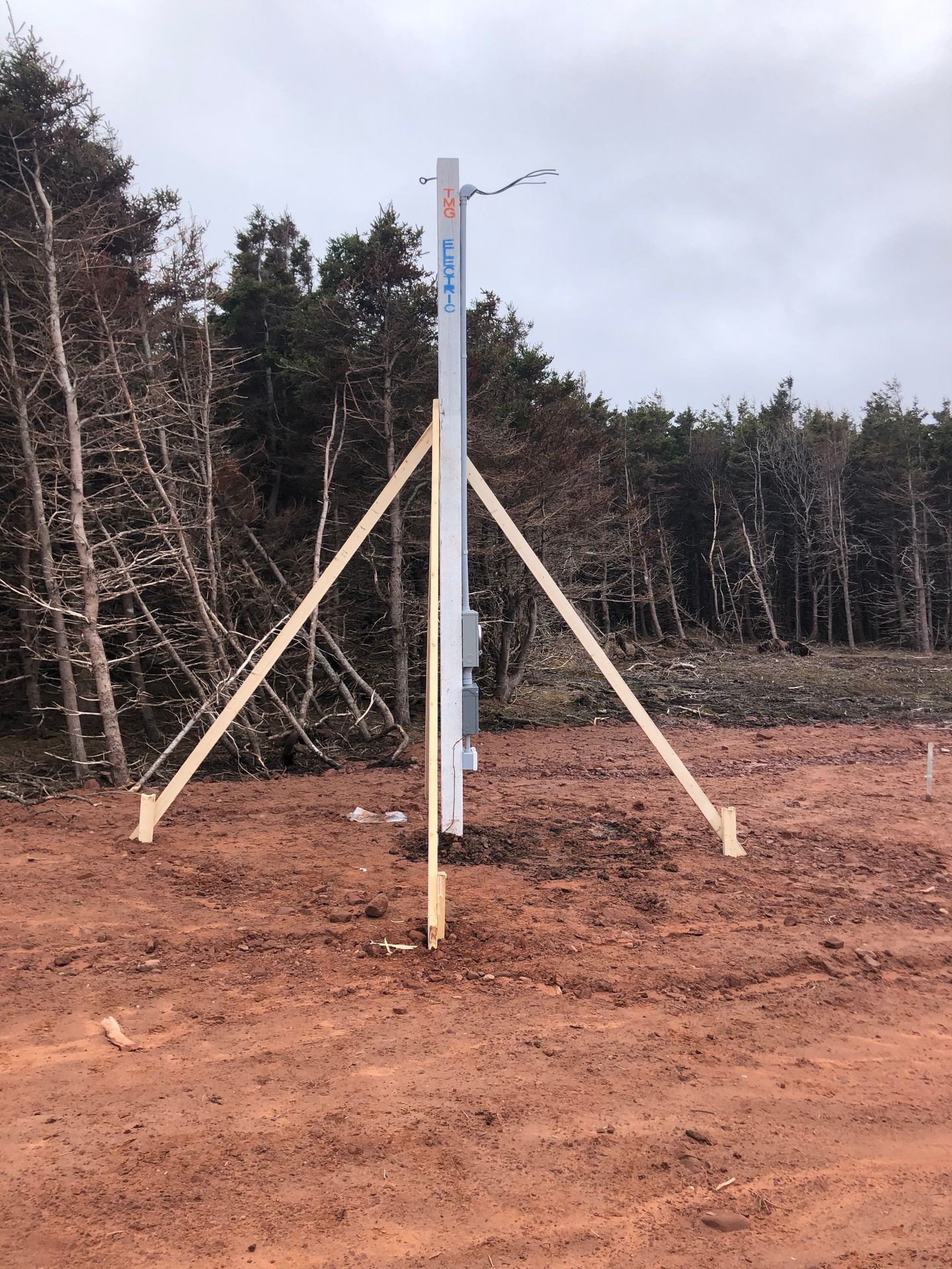 An electrical pole installation in a forest area, supported by wooden braces on a dirt ground.