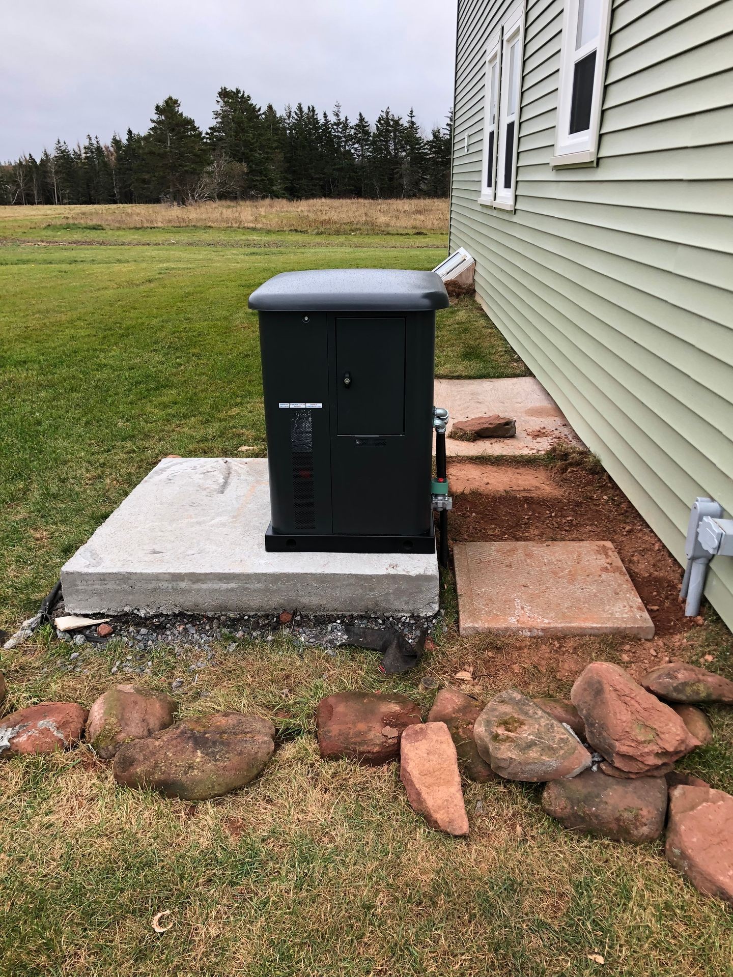 Outdoor generator on concrete slab next to house with green siding, surrounded by lawn and trees.
